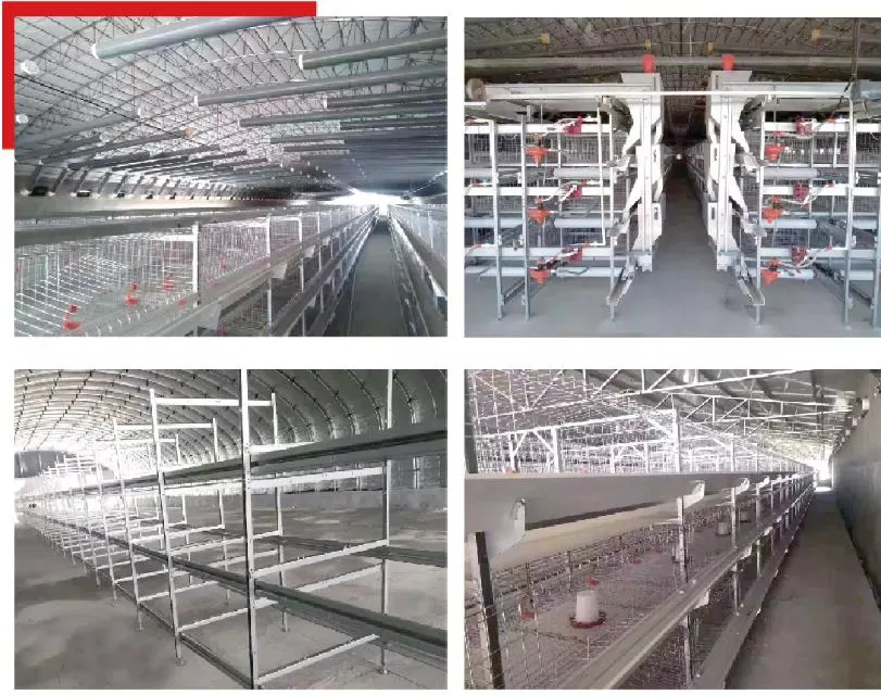 Broiler Chicken House Waterline Automatic Flat Broiler Aquaculture Waterline Equipment