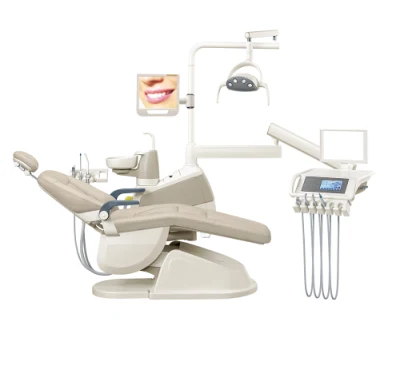 Diseño de humanización Sillón dental aprobado por la FDA Equipo dental básico/Limpiador de línea de flotación dental/Unidad de succión de sillón dental